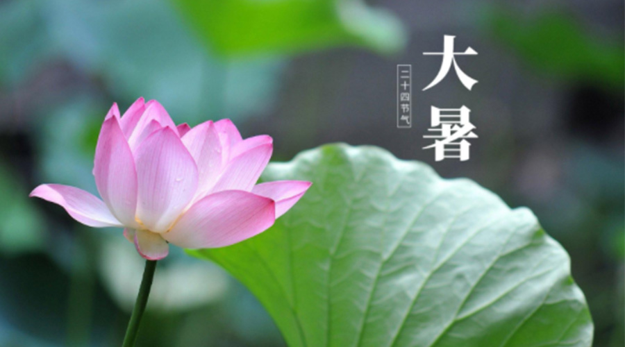 大暑時節(jié)！金環(huán)電器提醒大家注意這些干衣細(xì)節(jié)