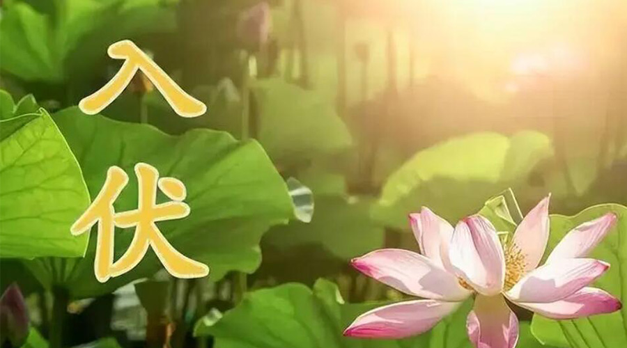 入伏天來襲！金環(huán)電器提醒大家要注意的事項