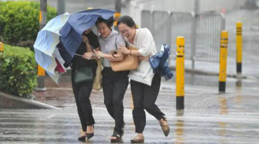 家有衣物烘干機(jī)，無懼臺(tái)風(fēng)天吹走和淋濕衣物！