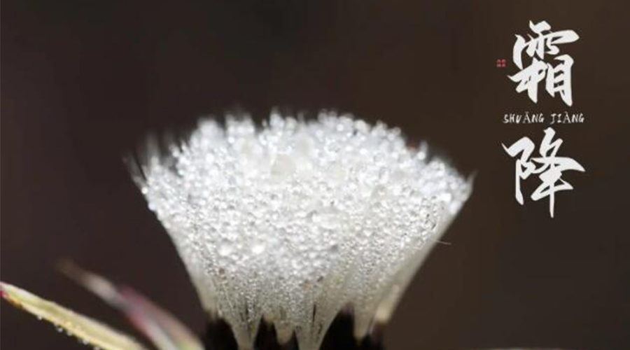 霜降時節(jié)！金環(huán)電器提醒大家要注意的事項