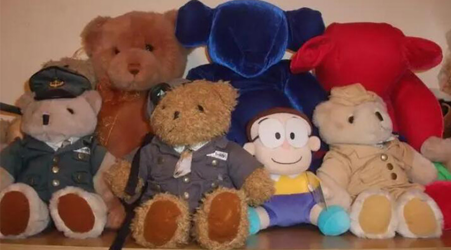 解答！毛公仔可以使用滾筒衣服烘干機除菌嗎