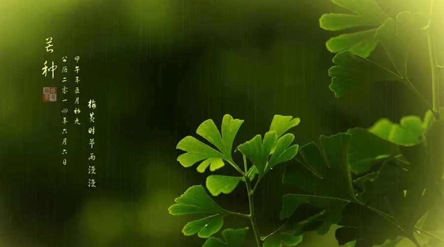 芒種時節(jié)！金環(huán)電器提醒大家的注意事項