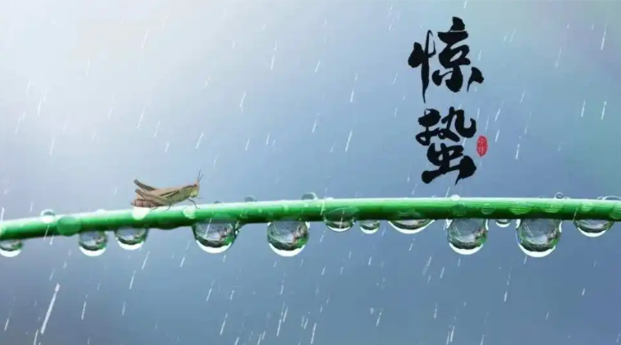 驚蟄時節(jié)！金環(huán)電器提醒大家干衣要注意這些