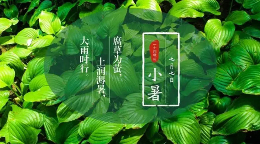 小暑時節(jié)來到！金環(huán)電器提醒大家要注意的事項