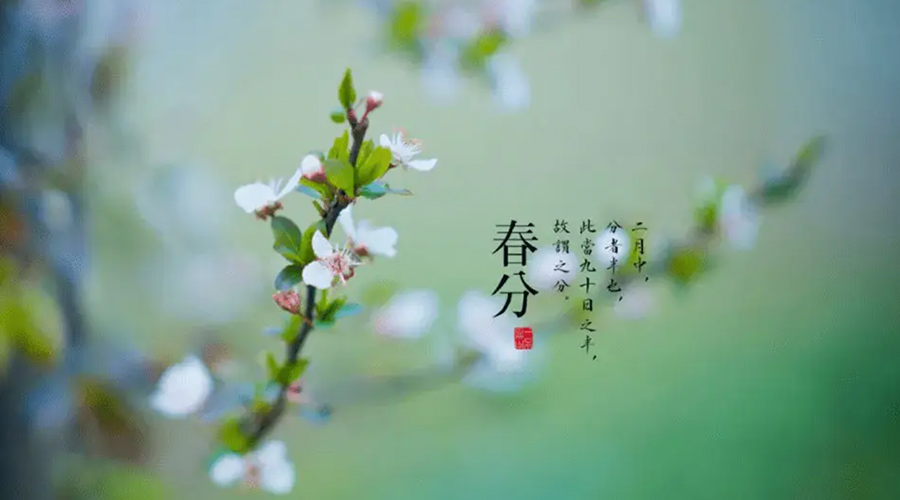 春分雨水多易生菌！金環(huán)電器提醒你衣物要注意處理