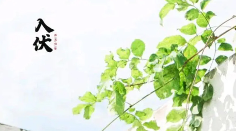 初伏時節(jié)！金環(huán)電器提醒大家要注意的事項