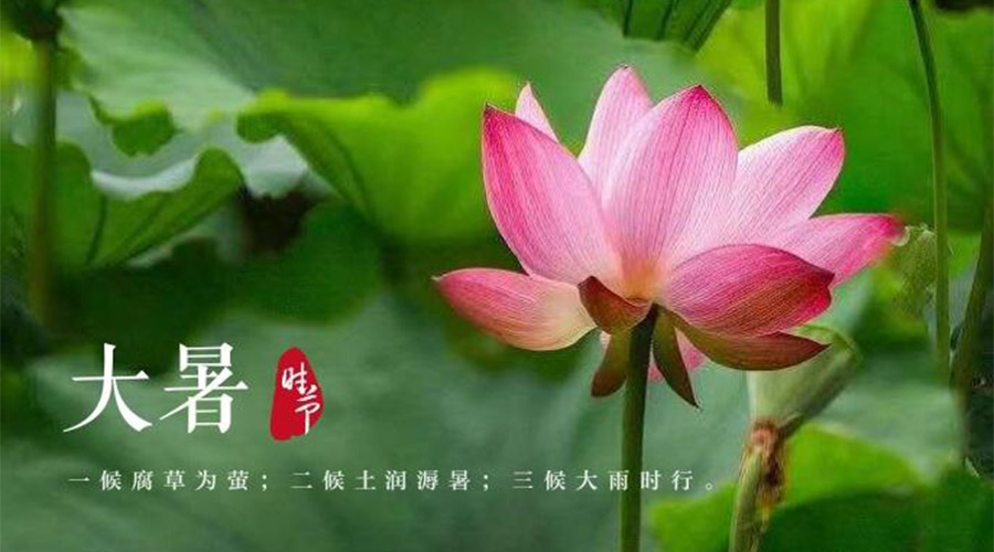 大暑時(shí)節(jié)！金環(huán)電器提醒大家要注意的事項(xiàng)