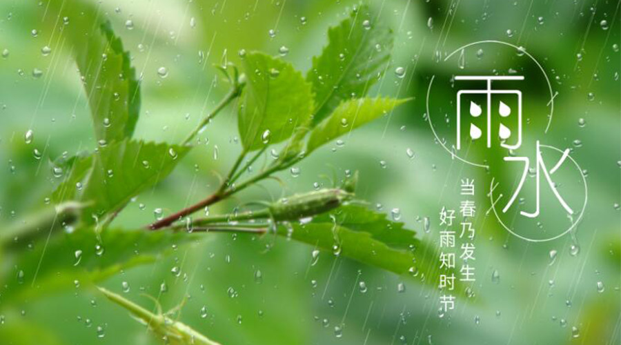 雨水時節(jié)！金環(huán)電器提醒大家要注意的事項